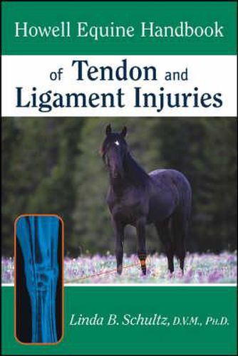 Cover image for Howell Equine Handbook of Tendon and Ligament Injuries