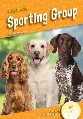 Cover image for Sporting Group