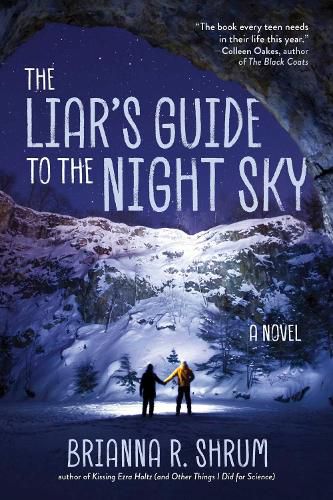 Cover image for The Liar's Guide to the Night Sky: A Novel