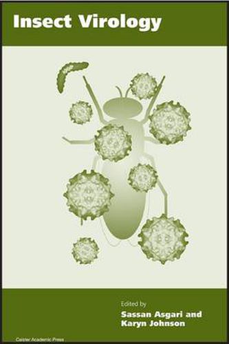 Cover image for Insect Virology