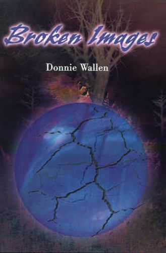 Cover image for Broken Images