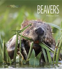 Cover image for Living Wild: Beavers