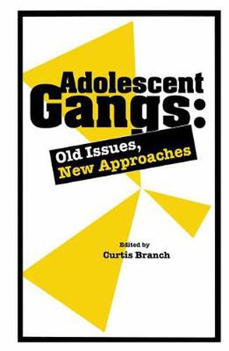 Cover image for Adolescent Gangs: Old Issues, New Approaches