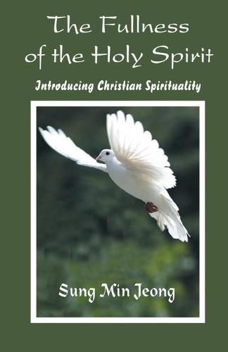 Cover image for The Fullness of the Holy Spirit