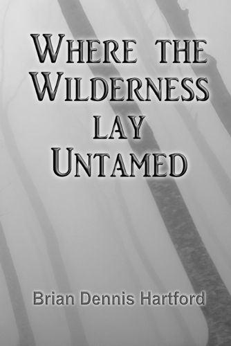 Cover image for Where the Wilderness Lay Untamed