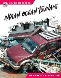 Cover image for Indian Ocean Tsunami