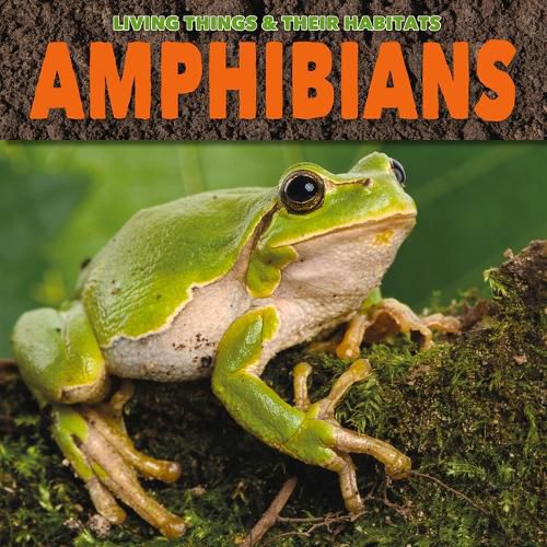 Cover image for Amphibians