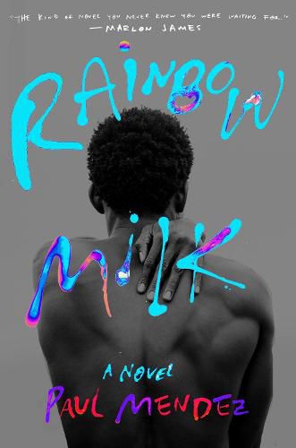 Cover image for Rainbow Milk: A Novel