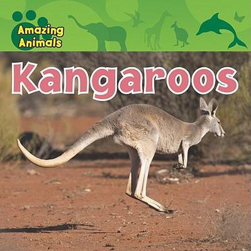 Cover image for Kangaroos