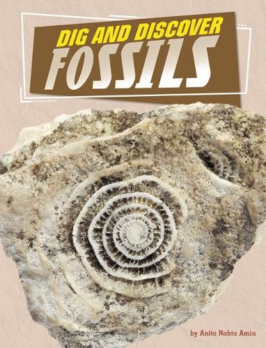 Cover image for Dig and Discover Fossils