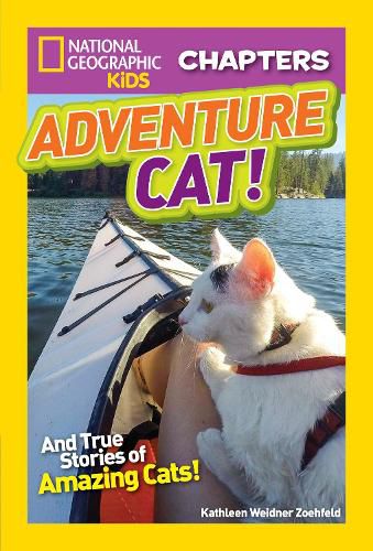 Cover image for National Geographic Kids Chapters: Adventure Cat!