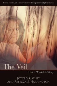 Cover image for The Veil: Heidi Wyrick's Story