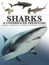 Cover image for Sharks & Underwater Predators