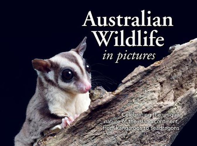 Australian Wildlife in Pictures: Celebrating the unique nature of the island continent, from kangaroos to sea dragons