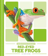 Cover image for Rain Forest Animals: Red-Eyed Tree Frogs