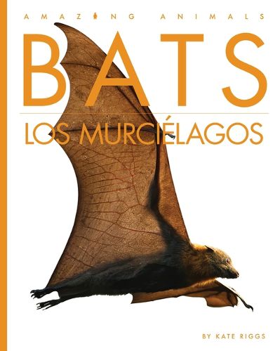 Cover image for Bats / Los Murcielagos