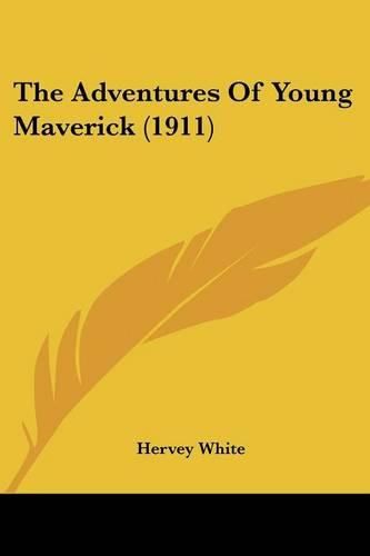 Cover image for The Adventures of Young Maverick (1911)