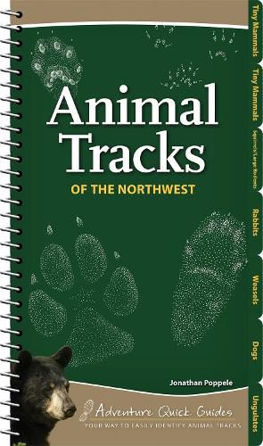 Cover image for Animal Tracks of the Northwest: Your Way to Easily Identify Animal Tracks