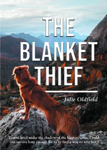 Cover image for The Blanket Thief