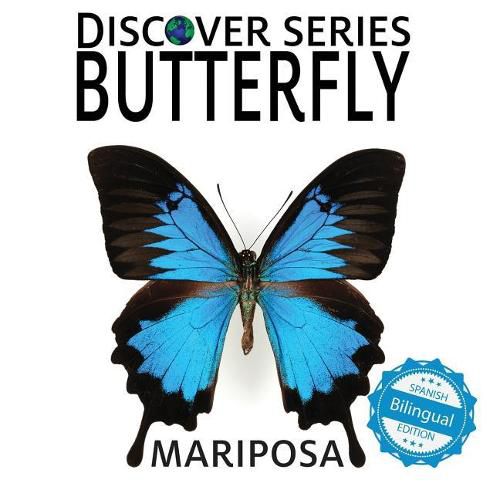 Cover image for Butterfly / Mariposa
