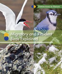 Cover image for Migratory and Resident Birds Explained