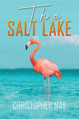 Cover image for The Salt Lake