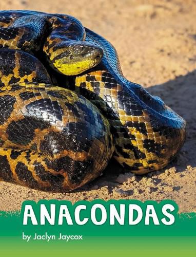 Cover image for Anacondas