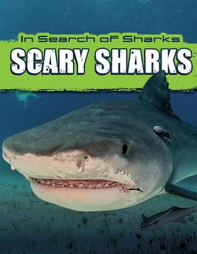 Cover image for Scary Sharks