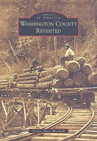 Cover image for Washington County Revisited