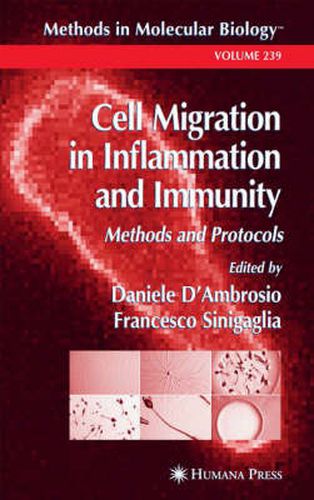 Cover image for Cell Migration in Inflammation and Immunity: Methods and Protocols