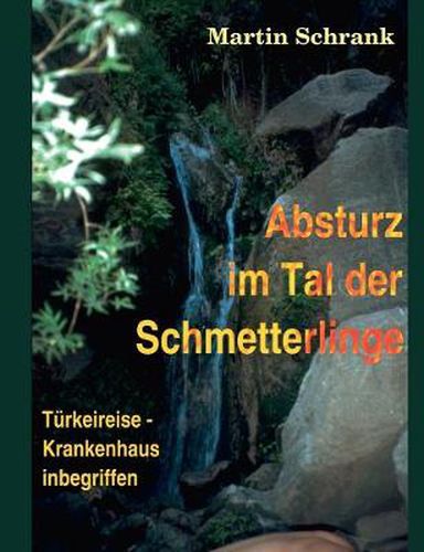 Cover image for Absturz im Tal der Schmetterlinge: Turkeireise - Krankenhaus inbegriffen