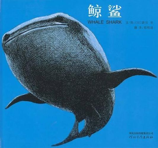 Cover image for [Whale Shark]