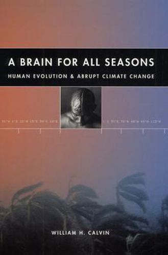 Cover image for A Brain for All Seasons: Human Evolution and Abrupt Climate Change