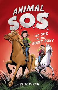 Cover image for The Case of the Secret Pony