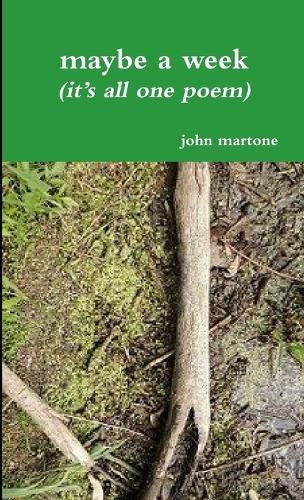 Cover image for maybe a week (it's all one poem)