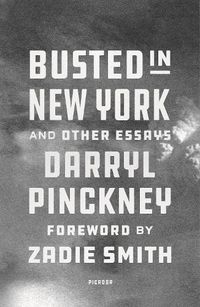 Cover image for Busted in New York and Other Essays