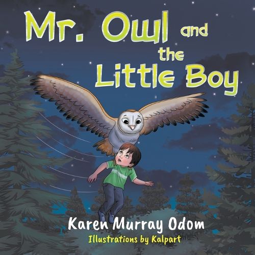 Cover image for Mr. Owl and the Little Boy