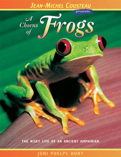 Cover image for A Chorus of Frogs: The Risky Life of an Ancient Amphibian