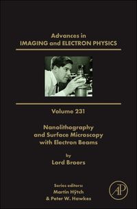 Cover image for Nanolithography and Surface Microscopy with Electron Beams: Volume 231