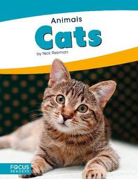 Cover image for Animals: Cats