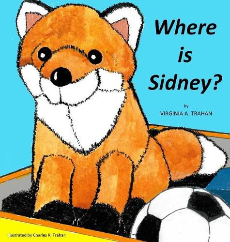 Cover image for Where is Sidney?