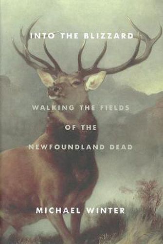 Cover image for Into The Blizzard: Walking the Fields of the Newfoundland Dead