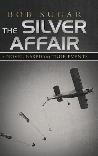 Cover image for The Silver Affair