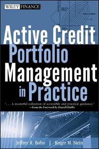 Cover image for Active Credit Portfolio Management in Practice