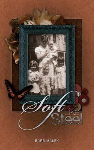 Cover image for Soft Like Steel