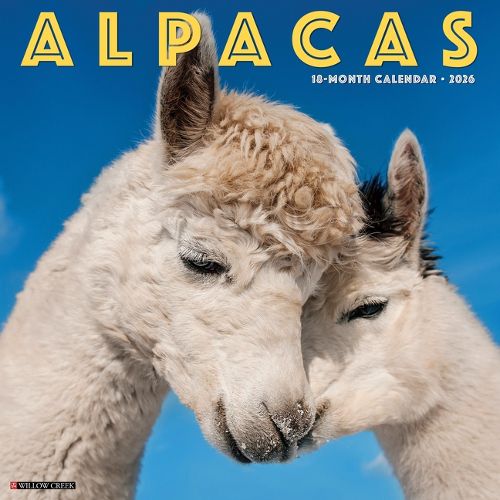 Cover image for Alpacas 2026 12 X 12 Wall Calendar