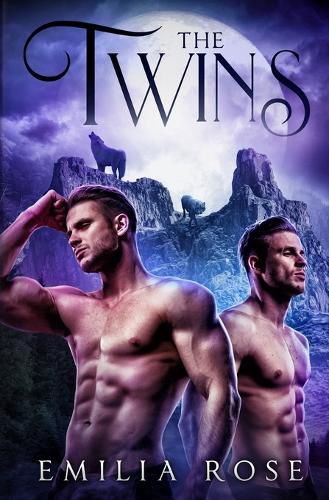 Cover image for The Twins