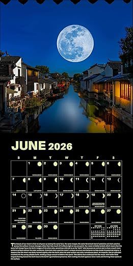 Lunar 2026 Wall Calendar