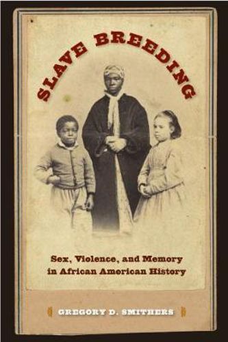 Cover image for Slave Breeding: Sex and Slavery in African American History