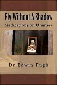 Cover image for Flying Without A Shadow: Meditations on Oneness